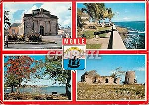 Carte Postale Moderne Guadeloupe Moule