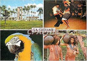 Carte Postale Moderne Guyane française Perroquet