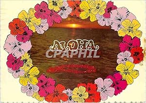 Carte Postale Moderne Aloha Hawaii