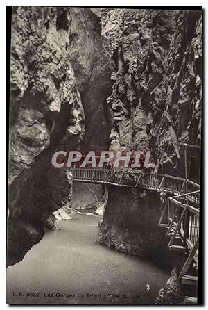 Italie - Italy - trento - trient - Les Gorges du Trient - Tete du Lion - pont en bois - Carte Pos...