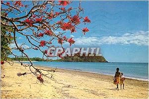 Bild des Verkufers fr Carte Postale Moderne Madagascar zum Verkauf von CPAPHIL