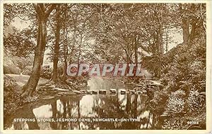 Carte Postale Moderne Stepping Stones Jesmond Dene Newcastle on Tyne