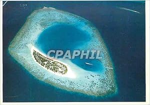 Bild des Verkufers fr Carte Postale Moderne Maldives Nacatcha zum Verkauf von CPAPHIL