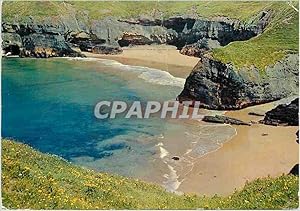 Carte Postale Moderne Eire Falaise de Ballybunion