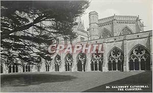 Carte Postale Moderne Salisbury Cathedral The Cloisters