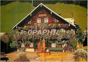 Bild des Verkufers fr Carte Postale Moderne Blumenhaus in Dienten am Hochkonig Land Salzburg zum Verkauf von CPAPHIL