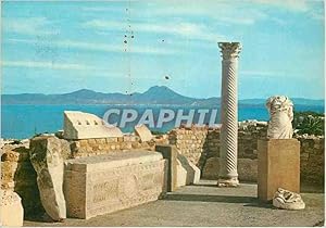 Seller image for Carte Postale Moderne Carthage Antiquarium for sale by CPAPHIL