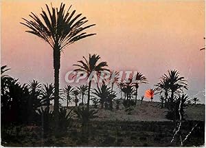 Carte Postale Moderne Tunisie Coucher du Soleil