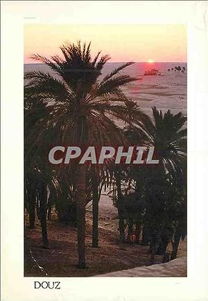 Carte Postale Moderne Charmes et Douceur de Tunisie Soleil levant sur douz