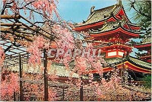 Carte Postale Moderne The Heian Jingu Shrine Kyoto