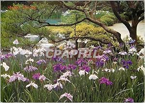 Bild des Verkufers fr Carte Postale Moderne L'Irisation des Fleurs dans le Jardin Du Rekiquaire (Kyoto) zum Verkauf von CPAPHIL