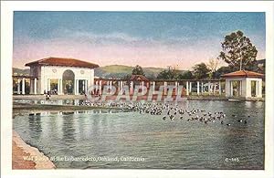 Carte Postale Moderne The Wild Ducks at The Embarcadero Oakland California The Heart of the City ...