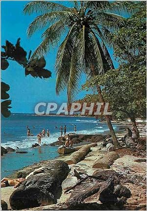 Carte Postale Moderne Gabon La plage de Gue Gue pres de Libreville