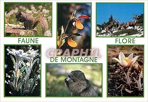 Image du vendeur pour Carte Postale Moderne Faune et flore de montagne ecureuil sabot de venus bouguetins edeiweiss marmota et anemone Ecureuil mis en vente par CPAPHIL