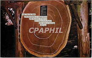 Bild des Verkufers fr Carte Postale Moderne 1930 Tree Cut Down 1776 Declaration of Independence 1492 Discovery of America 1215 Magma Carta Signed 1066 Battle of zum Verkauf von CPAPHIL