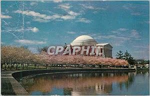 Carte Postale Moderne Jefferson Memorial Appears in its most Beautiful Setting usually early in A...