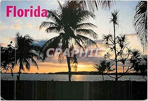 Carte Postale Moderne Florida Sunsets Paint a beautiful Pucture in Florida