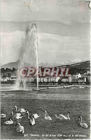 Carte Postale Moderne Geneve le jet d'eau (120 m) et le mt blanc