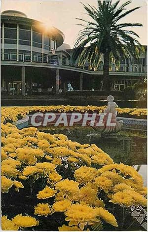 Seller image for Carte Postale Moderne Foutains Flowers and Towering Palms surround the Clubhouse of Doral Country Club for sale by CPAPHIL