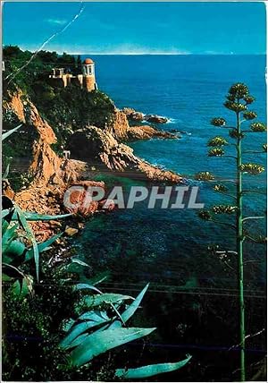 Seller image for Carte Postale Moderne Blanes Costa Brava Jardin Botanique Detail for sale by CPAPHIL