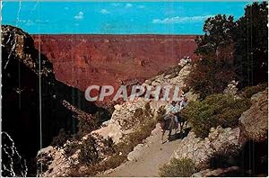 Imagen del vendedor de Carte Postale Moderne Grand Canyon National Park Arizona a la venta por CPAPHIL