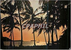 Carte Postale Moderne Contre jour romantique Guadeloupe