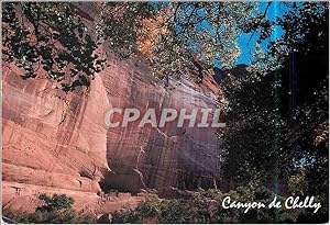 Carte Postale Moderne Canyon de Chelly National Monument White House Ruins