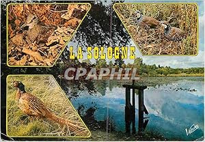 Image du vendeur pour Carte Postale Moderne La Sologne Chasse Faisan mis en vente par CPAPHIL