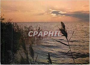 Bild des Verkufers fr Carte Postale Moderne Camargue Lumieres de Tradition Crepuscule sur l'Etang de Veccares zum Verkauf von CPAPHIL