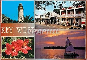 Carte Postale Moderne Key West Florida The tropical Island