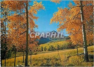 Imagen del vendedor de Carte Postale Moderne Lone Cove Near Norwood Colorado a la venta por CPAPHIL