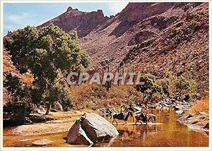 Carte Postale Moderne Sabino Canyon Tucson Arizona