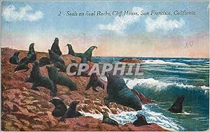 Immagine del venditore per Carte Postale Ancienne Seals on Seal Rocks Cliff House San Francisco California venduto da CPAPHIL