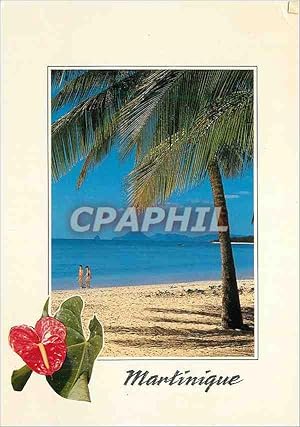 Carte Postale Moderne Martinique plage des salines