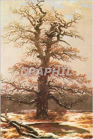 Seller image for Carte Postale Moderne Casper david friedrich 1774 1840 chene sous la neige 1810 12 cologne wallraf richartz museum for sale by CPAPHIL