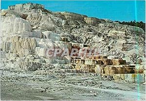 Carte Postale Moderne Minerva Terrace Yellowstone National Park