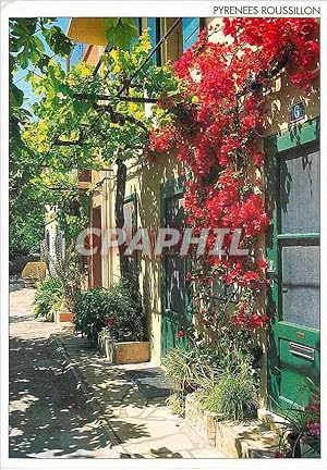 Carte Postale Moderne Message du sud pyrenees roussillon bougainville fleurie dans une ruelle tou...