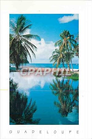 Carte Postale Moderne Guadeloupe reflet