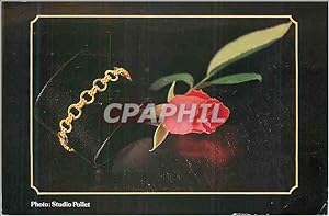 Image du vendeur pour Carte Postale Moderne Rose Bijou mis en vente par CPAPHIL