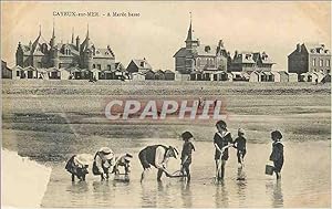 Carte Postale Ancienne Cayeux-sur-Mer A Marée basic