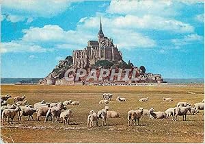 Immagine del venditore per Carte Postale Moderne Le Mont Saint Michel (Manche) Le Mont et les Paturage de pres sales Moutons venduto da CPAPHIL