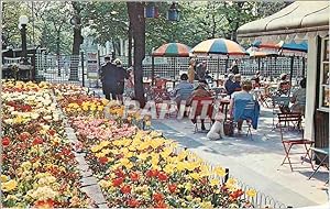 Seller image for Carte Postale Moderne Gardens and Bandstand Open Air Cafe Lord Street Southport for sale by CPAPHIL