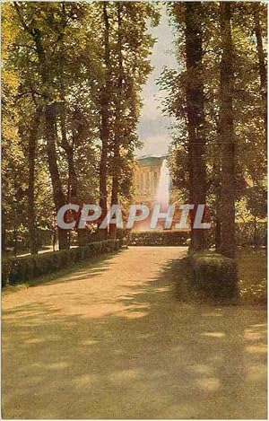 Carte Postale Ancienne Petrodvorets Alley in the park In the distance Great Fountain