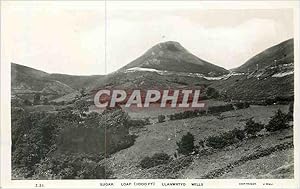 Carte Postale Moderne Suger Loaf Llanwrtyd Wells