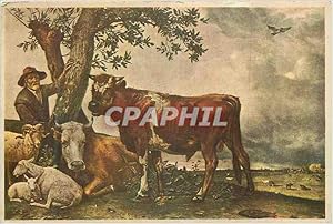 Bild des Verkufers fr Carte Postale Ancienne Paulus Potter de Jonge Stier le Jeune Taureau zum Verkauf von CPAPHIL