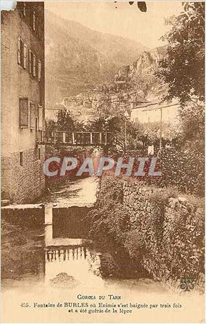 Carte Postale Ancienne Gorges du tarn 455 fontaine de burles ou enimie s est baignee par trois fo...