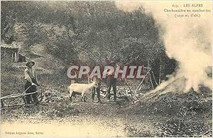 Image du vendeur pour Reproduction Les Alpes Charbonniere en Combustion (1250 m d'Alt) mis en vente par CPAPHIL