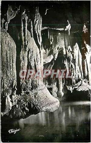Bild des Verkufers fr Carte Postale Moderne Grottes de Betharram Champignons Renveres zum Verkauf von CPAPHIL