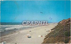 Carte Postale Moderne South carlsbad state beach in north san diego county