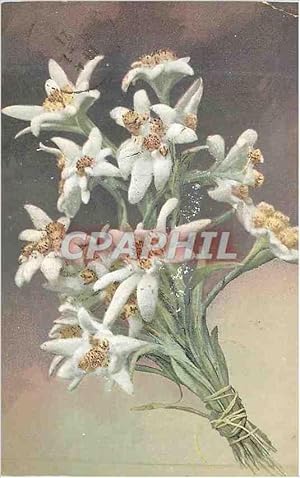 Image du vendeur pour Carte Postale Ancienne Fleurs mis en vente par CPAPHIL